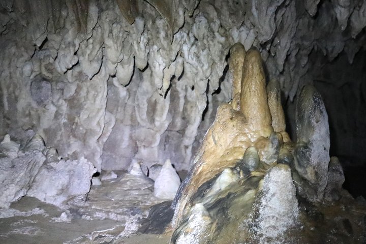 Hobbiton and Spellbound Tour (Glowworm Cave at Waitomo)  - Image 2