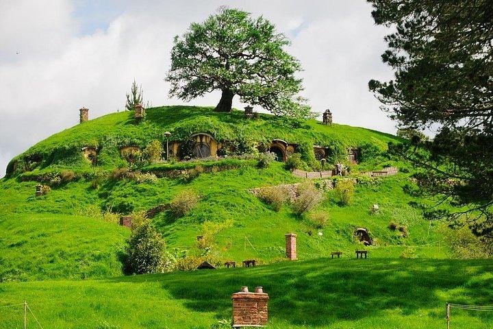 Hobbiton movie set and Waitomo glowworm caves. Small group of 4-5 people. - Image 4