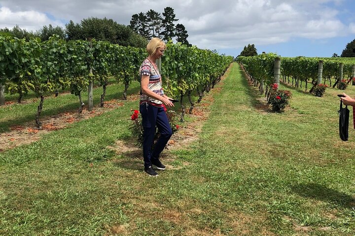 Kumeu Wine Tour - Image 4