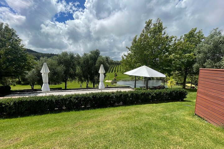 Kumeu Wine Tour - Image 2