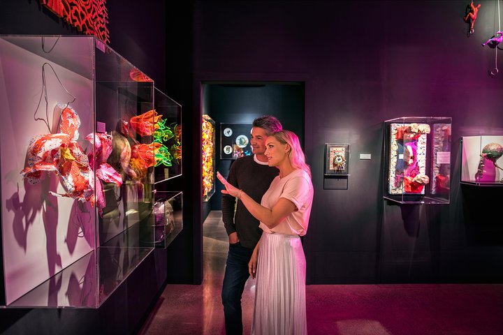 Matakana Art and Wine Escape - Image 4