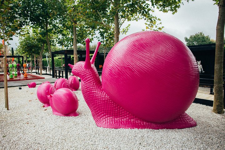 Matakana Art and Wine Escape - Image 3