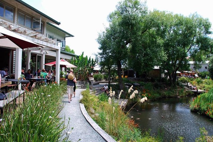 Matakana Art and Wine Escape - Image 1