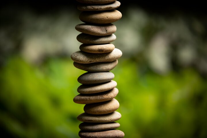 Matakana Art & Vineyard Experience incl. Lunch & Wine Tasting Tour From Auckland - Image 3
