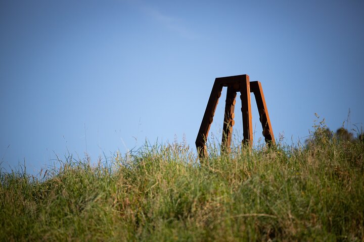 Matakana Art & Vineyard Experience incl. Lunch & Wine Tasting Tour From Auckland - Image 2