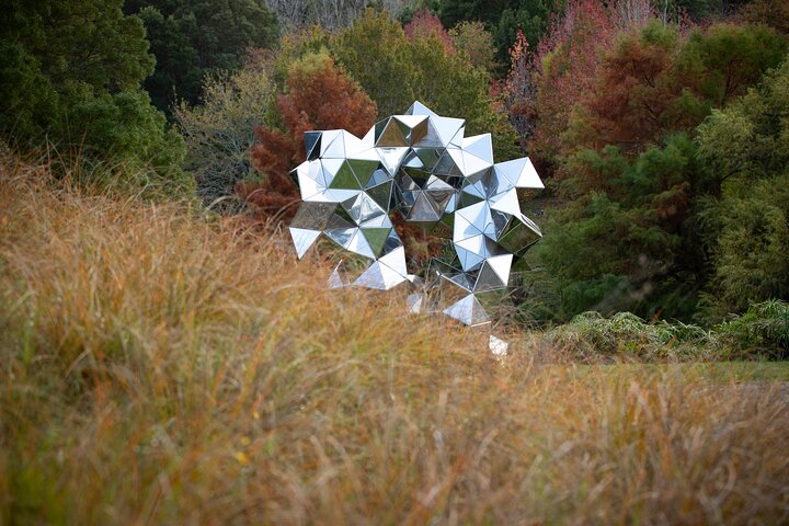 Matakana Art & Vineyard Experience incl. Lunch & Wine Tasting Tour From Auckland - Image 4