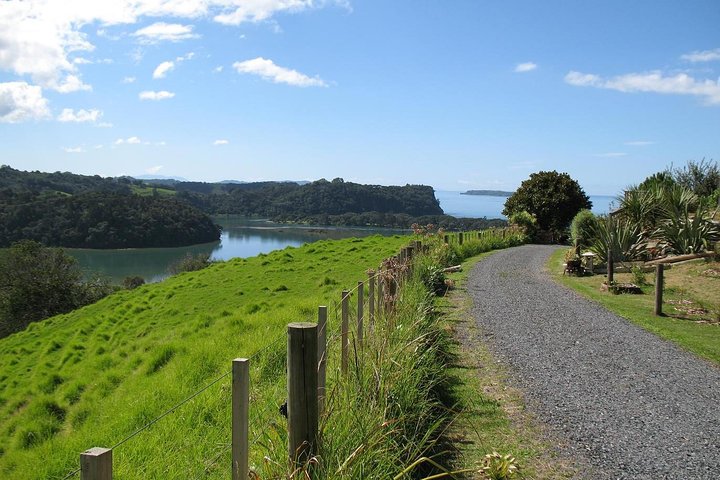 Matakana Scenic Coastal Getaway from Auckland - Image 1