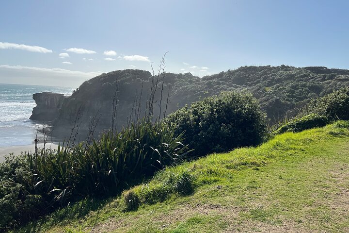 Muriwai Beach - Gannet Colony Bird Watching Tour - Image 5