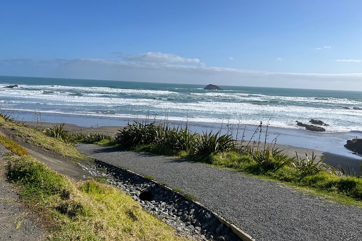 Muriwai Beach - Gannet Colony Bird Watching Tour - Image 4