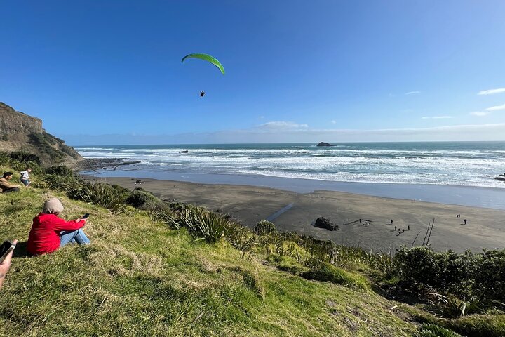 Muriwai Beach - Gannet Colony Bird Watching Tour - Image 1
