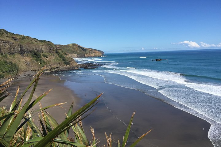 Muriwai Scenic Wine Tour from Auckland - Image 2