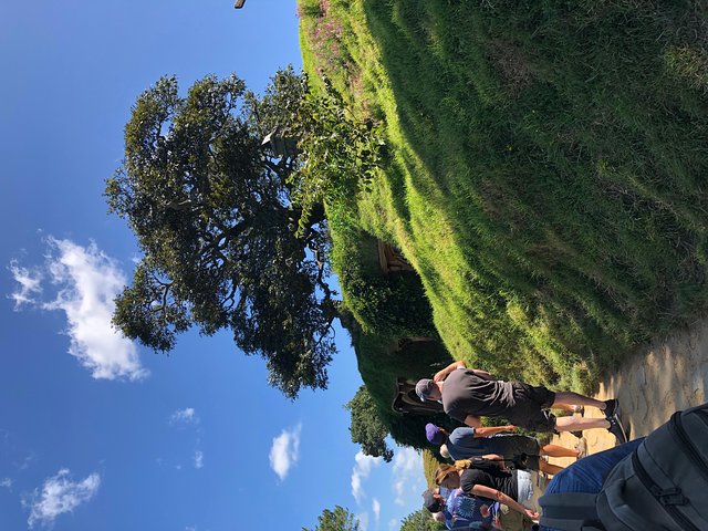 One day Hobbiton Movie set visit from Auckland - Image 2