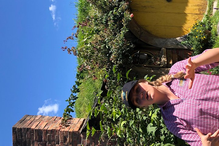 One day Hobbiton Movie set visit from Auckland - Image 3