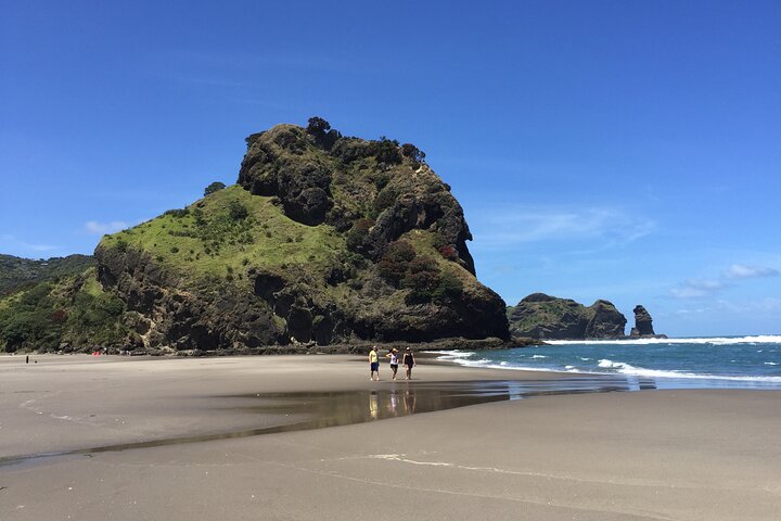 Piha Waitakere Rainforest Wine Tour from Auckland - Image 4