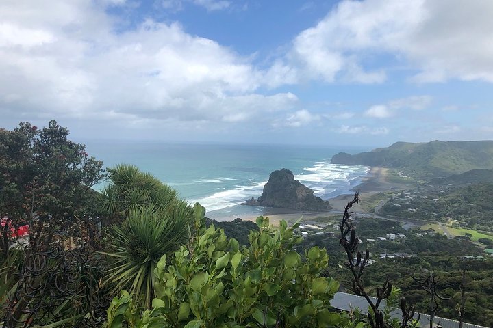 Piha Waitakere Rainforest Wine Tour from Auckland - Image 3
