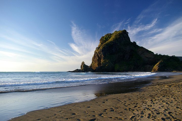 Piha Waitakere Rainforest Wine Tour from Auckland - Image 2