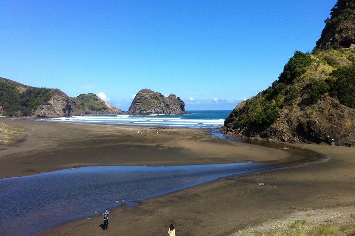 Piha Waitakere Rainforest Wine Tour from Auckland - Image 1