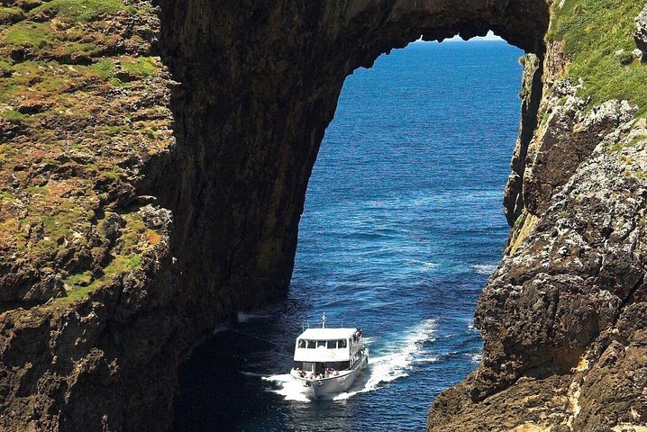 Poor Knights Small Group Tour & Cruise from Auckland  - Image 5