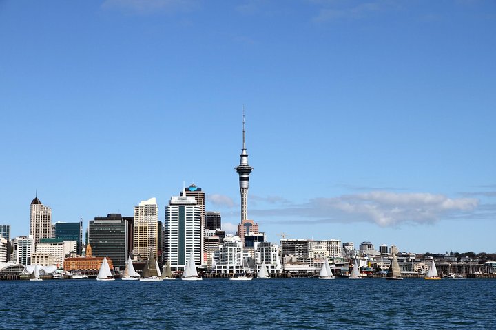Private Auckland City Tour For Small Group in a luxury vehicle. - Image 2