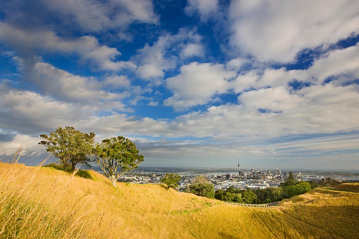 Private Auckland Half Day Tour - Image 4
