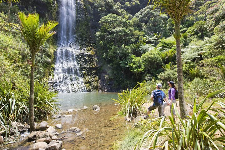 Private Auckland Luxury Tour - Image 2