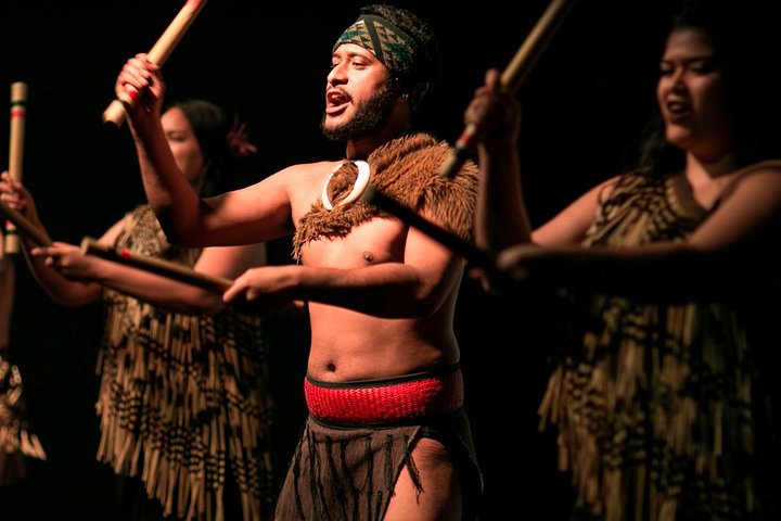 Private Auckland Maori Luxury Tour - Image 3