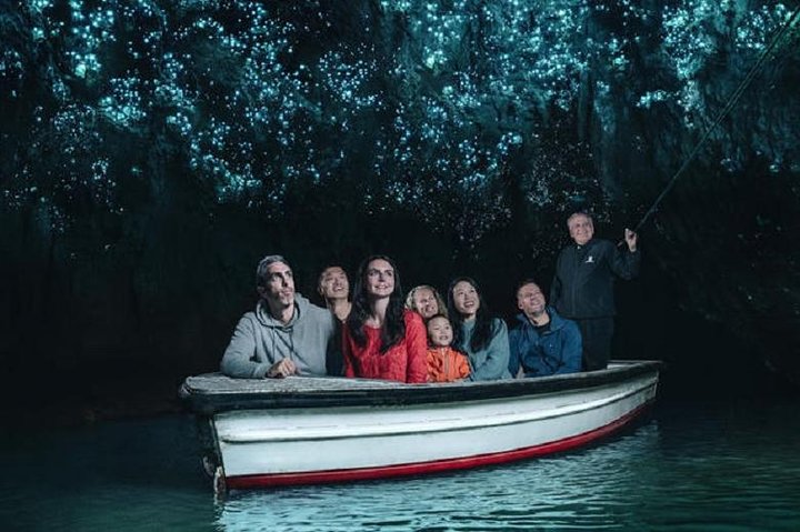 Private chauffeured Tour of Waitomo Caves - Image 2