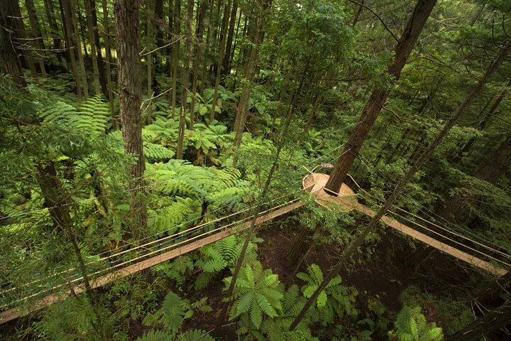 Private Day Trip Transport To Rotorua - Image 2