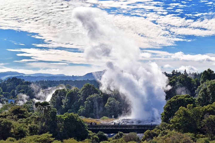 Private Day Trip Transport To Rotorua - Image 1