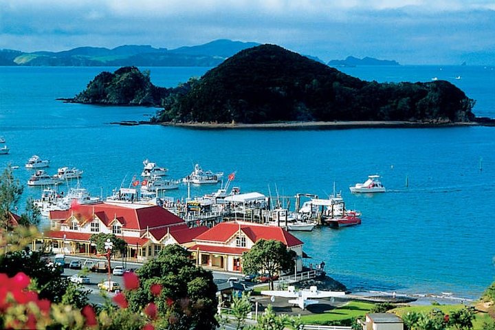 Private Day Trip Transport To Waitangi Treaty Ground Paihia - Image 1