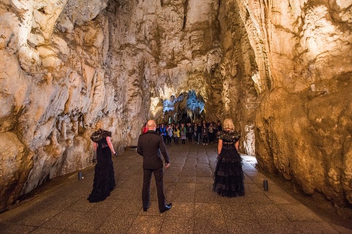Private Tour [2 Days]: Auckland to Waitomo Caves, Rotorua, Te Puia & Wai-O-Tapu - Image 5
