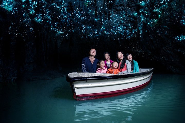 Private Tour [2 Days]: Auckland to Waitomo Caves, Rotorua, Te Puia & Wai-O-Tapu - Image 1
