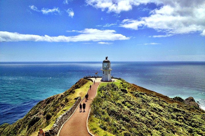 Private Tour [3 Days]: Matakana, Bay of Islands, Cape Reinga & 90 Mile Beach - Image 1