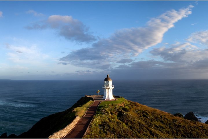 Private Tour [3 Days]: Matakana, Bay of Islands, Cape Reinga & 90 Mile Beach - Image 5