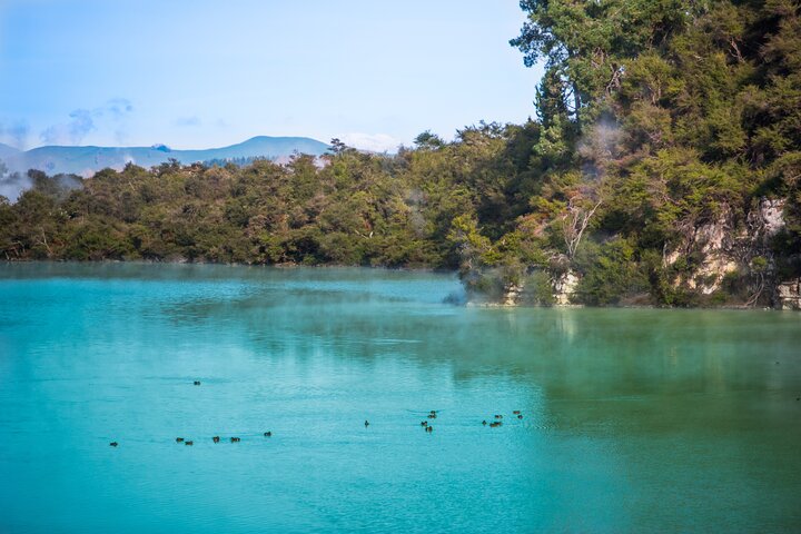 Private Tour [4 Days]: Waitomo Caves, Hobbiton, Rotorua, Hells Gate & Wai-O-Tapu - Image 5