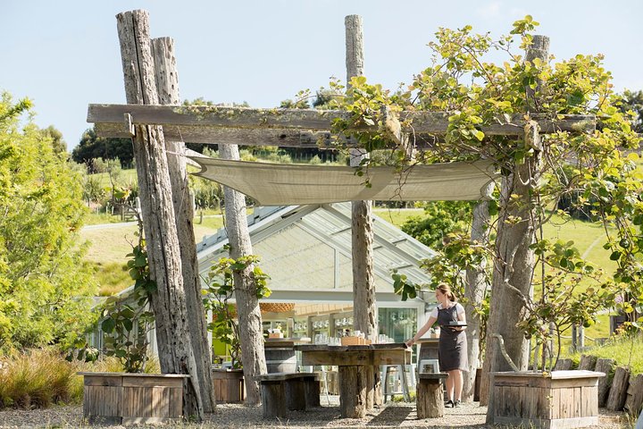Private Tour: Horse Riding & Wine Tasting - Image 3