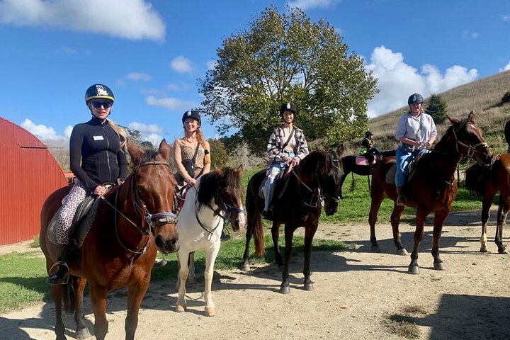 Private Tour: Horse Riding & Wine Tasting - Image 1
