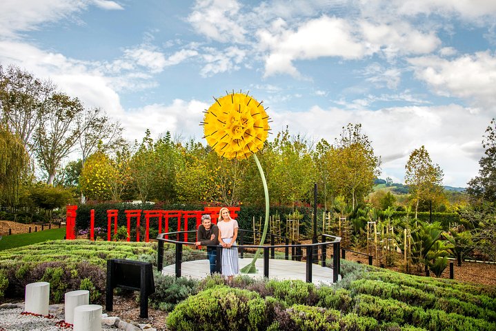 Private tour - Matakana Art and Wine Village - Image 1