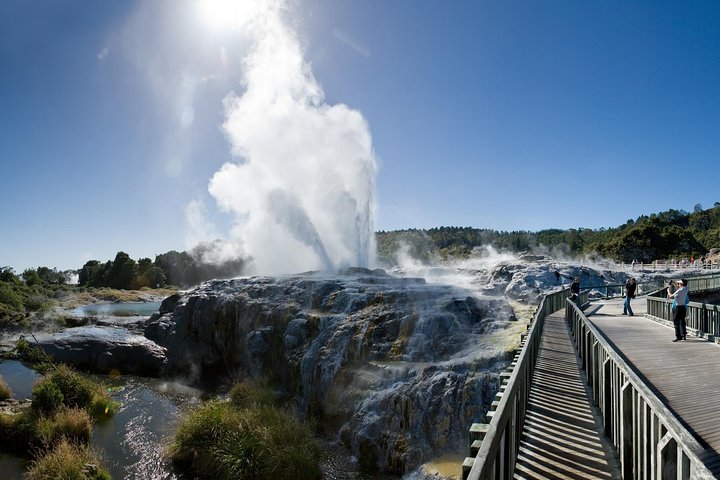 Private Tour: Rotorua and Waitomo Caves Day Trip from Auckland - Image 2