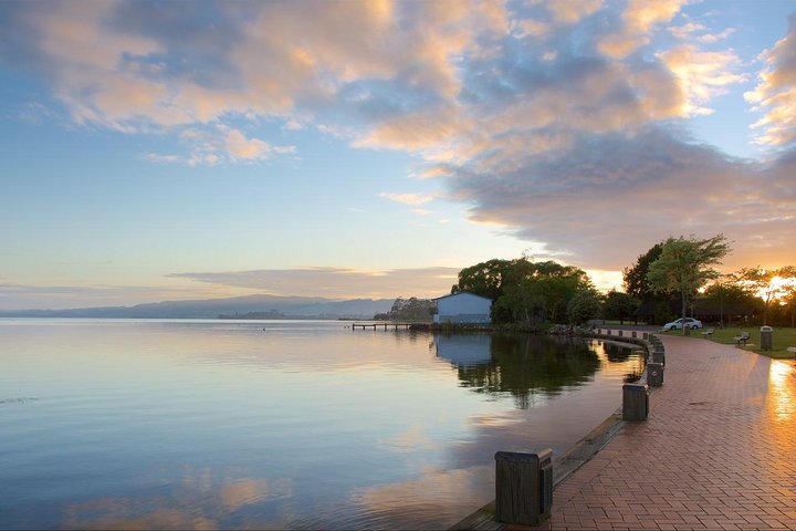 Private Tour: Rotorua and Waitomo Caves Day Trip from Auckland - Image 4