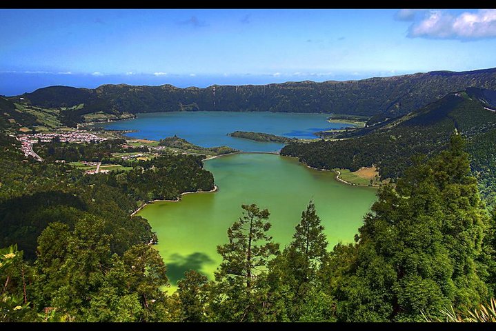 Private Tour: Rotorua and Waitomo Caves Day Trip from Auckland - Image 5
