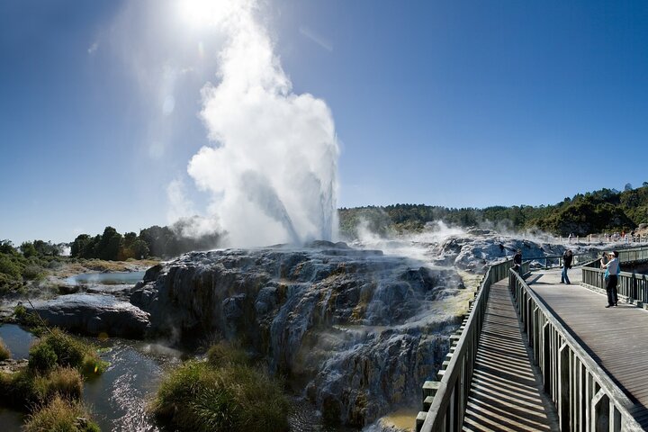 Private Tour to Te Puia, Hangi Buffet Lunch &Cultural Performance - Image 1