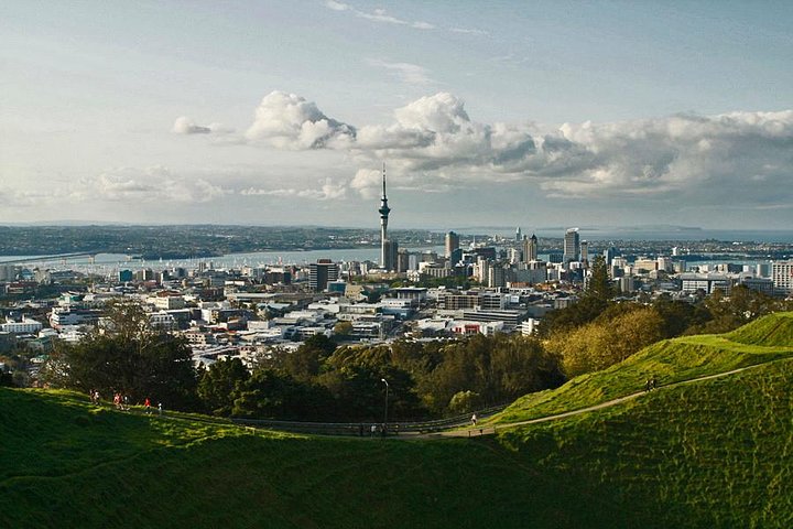 Private Tour: Waitomo Caves Day Trip from Auckland - Image 2