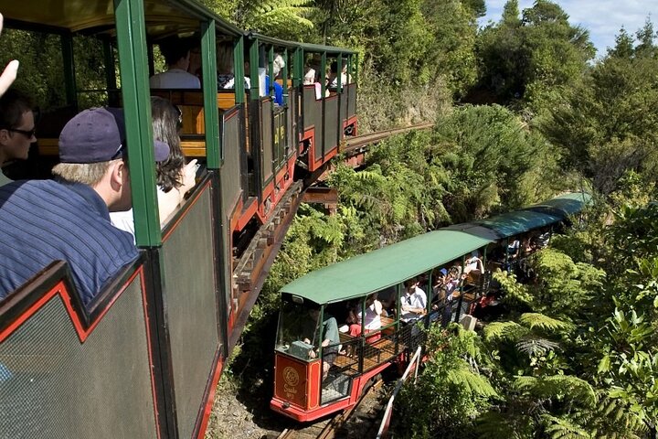 Private Trip to Coromandel - Image 3