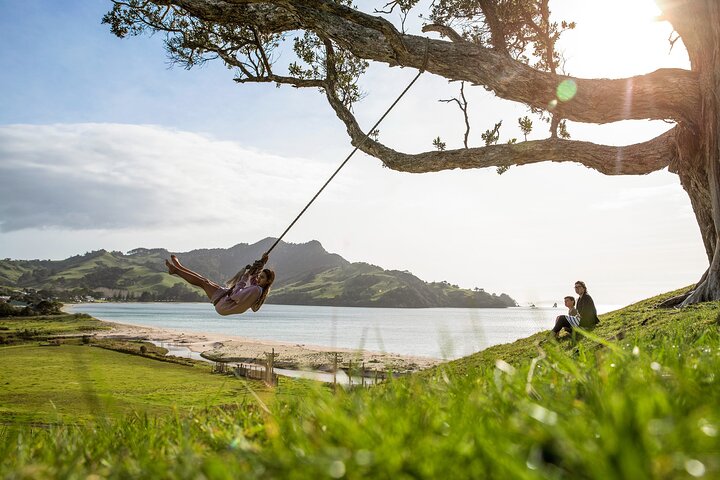 Private Trip to Coromandel - Image 4