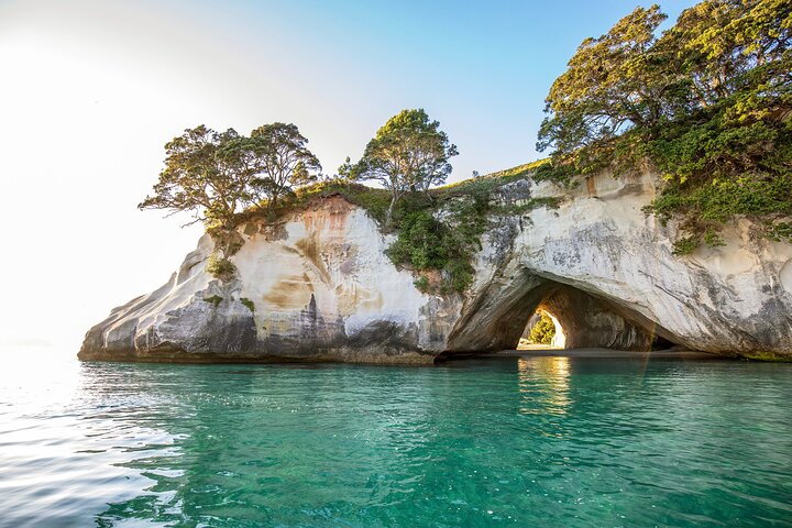 Private Trip to Coromandel - Image 2