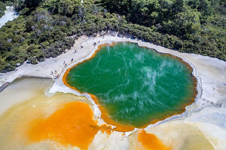 Rotorua Highlights Small Group Tour including Wai-O-Tapu from Auckland - Image 5