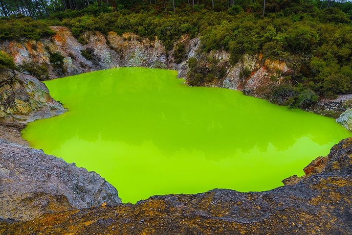 Rotorua Highlights Small Group Tour including Wai-O-Tapu from Auckland - Image 4