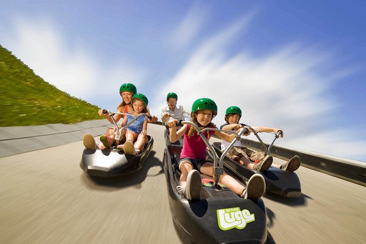 Rotorua Private Adventures Day Trip From Auckland - Image 5