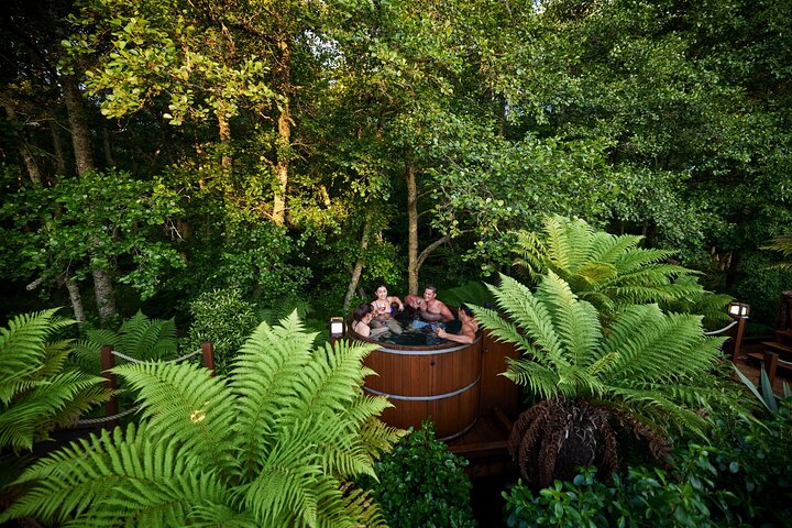 Rotorua Private tour with Hotspring - Image 5